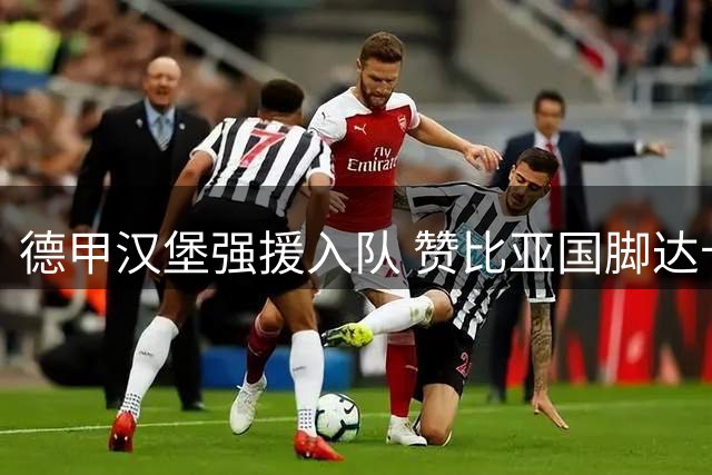 德甲汉堡强援入队 赞比亚国脚达卡自由转会加盟