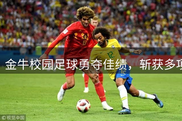 金牛校园足球勇夺佳绩，斩获多项殊荣