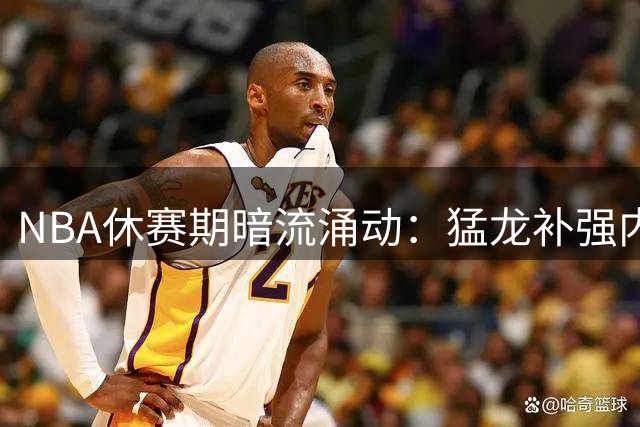 NBA休赛期暗流涌动：猛龙补强内线刻不容缓 詹卡去向牵动联盟格局